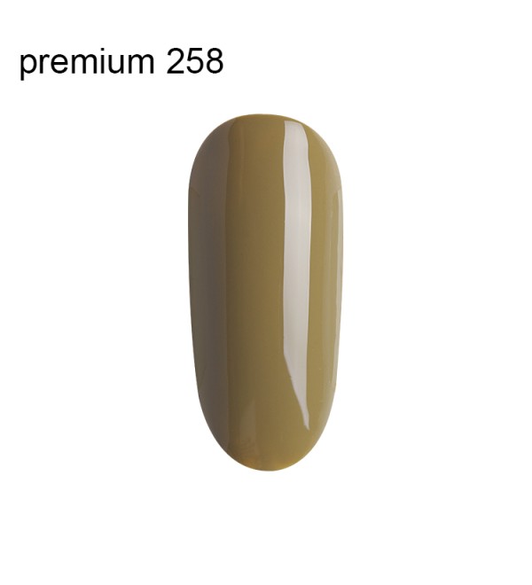 Гель Лак Premium №258