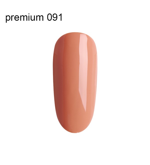 Гель Лак Premium №091