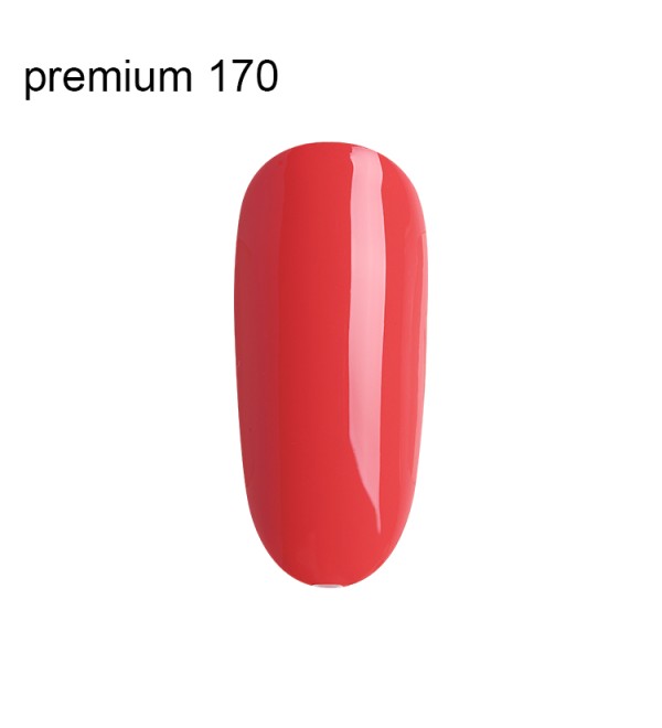 Гель Лак Premium №170