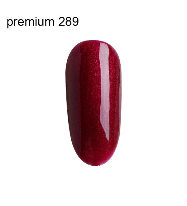 Гель Лак Premium №289