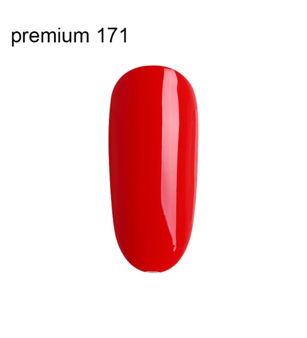 Гель Лак Premium №171
