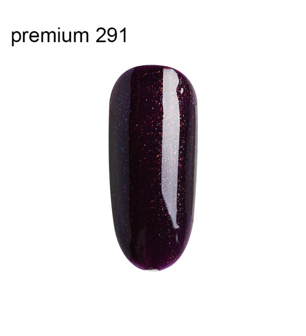 Гель Лак Premium №291
