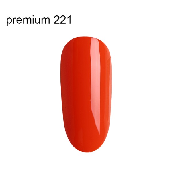 Гель Лак Premium №221
