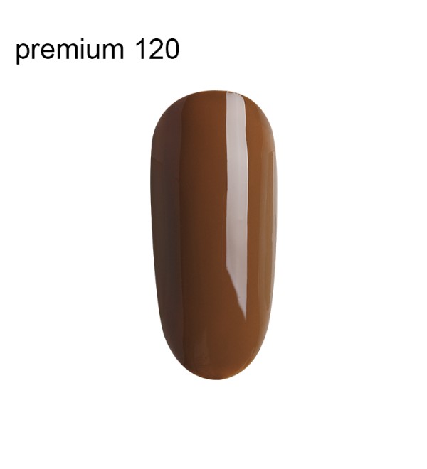 Гель Лак Premium №120
