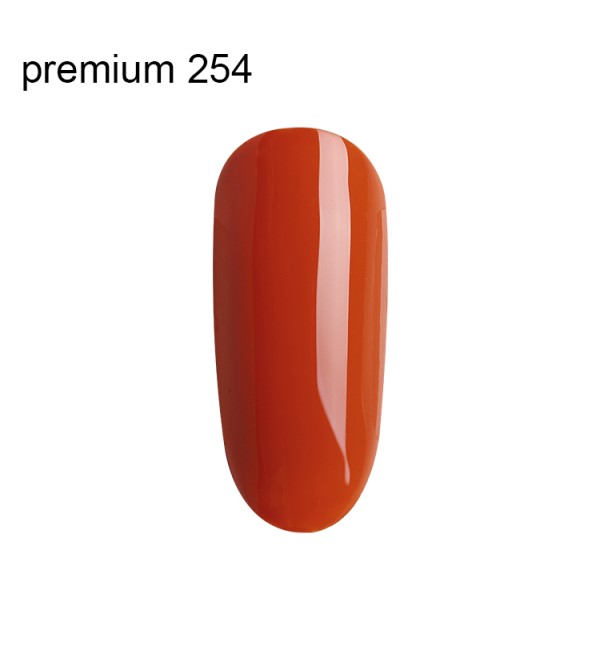 Гель Лак Premium №254