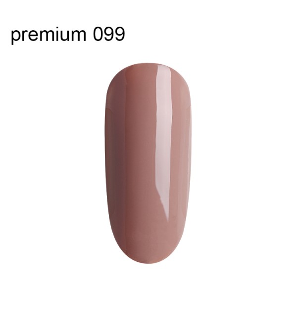 Гель Лак Premium №099