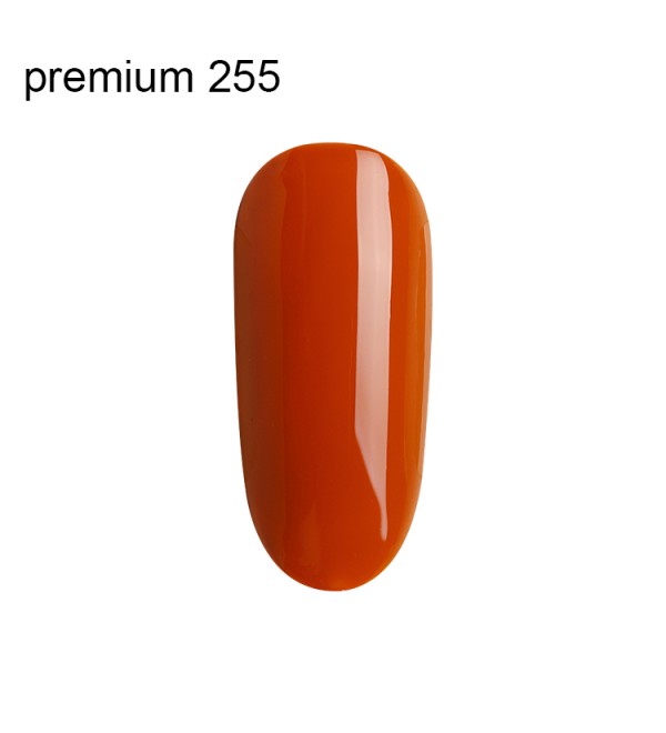 Гель Лак Premium №255