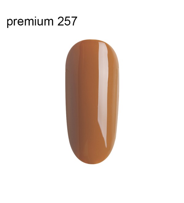 Гель Лак Premium №257