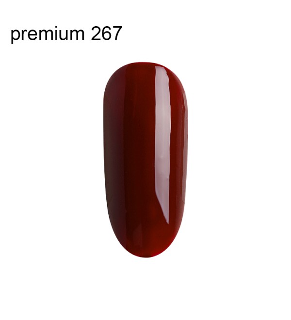Гель Лак Premium №267